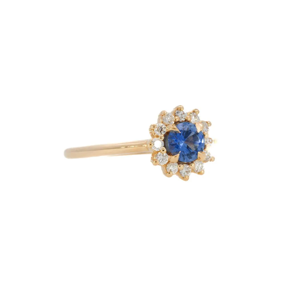 Blue Sapphire Rosetta Engagement Ring