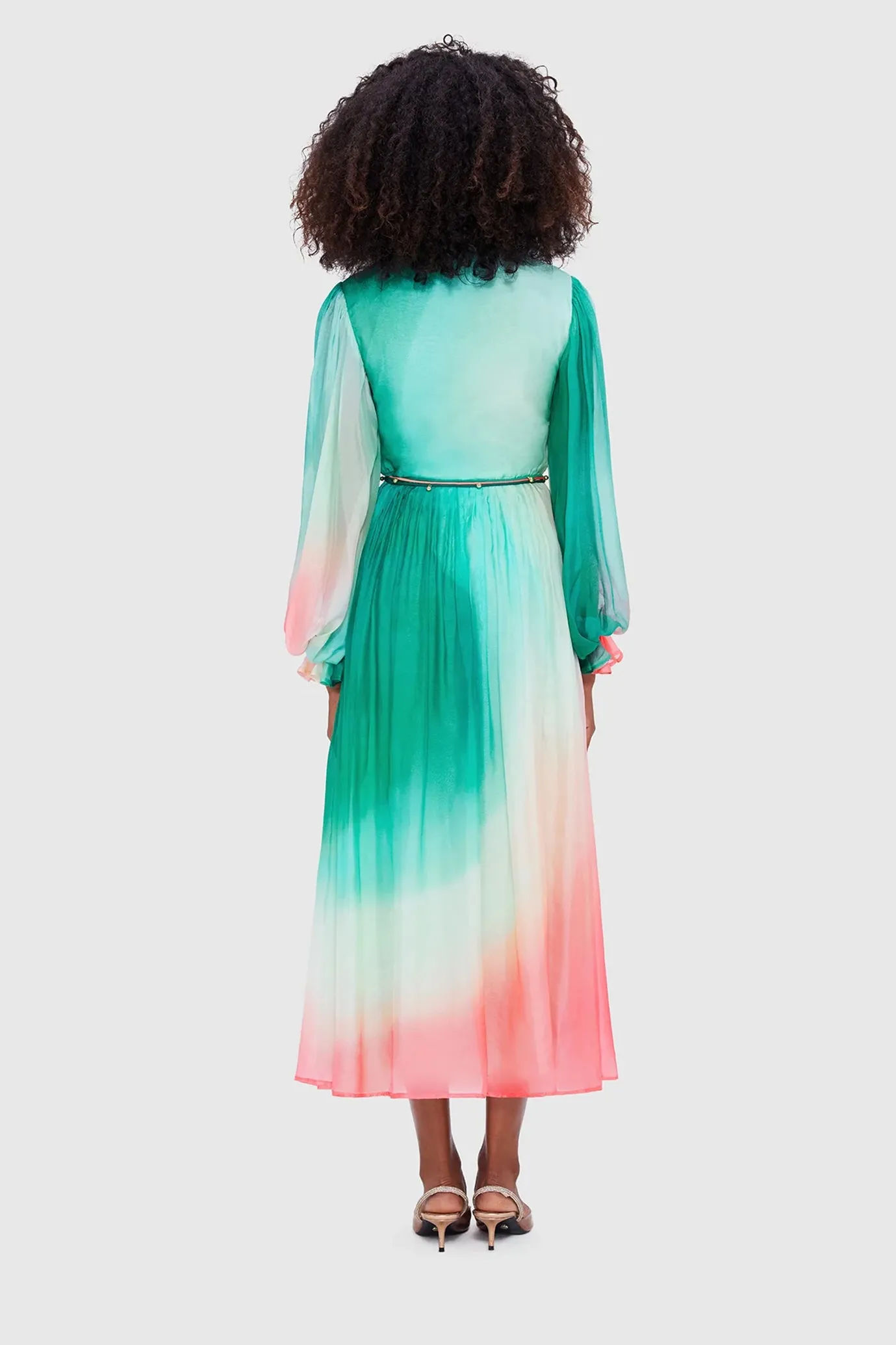 Cassie Tie Neck Midi Dress Whimsical Print by Leo & Lin