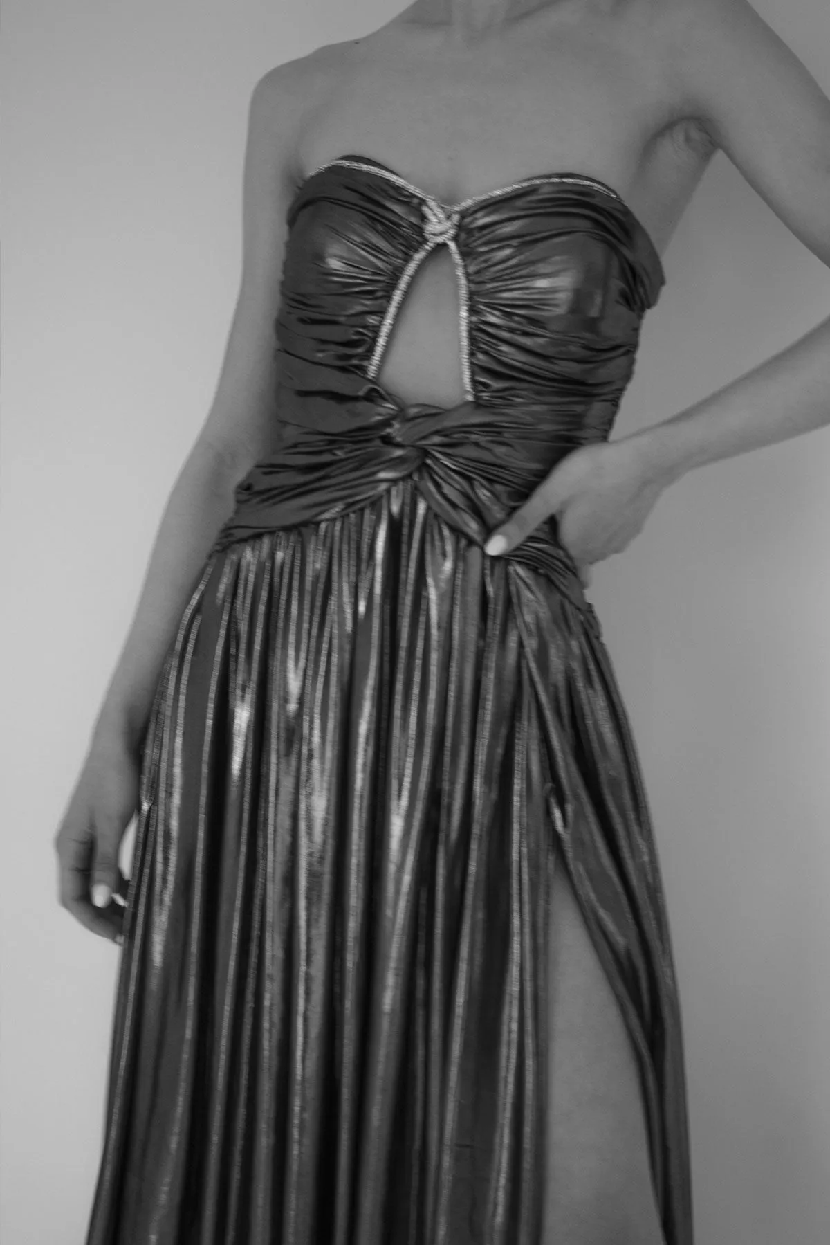 Dimi Liquid Gold Gown by HSH