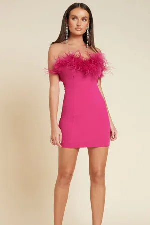 FINAL SALE: Valentina Mini Dress Fuschia