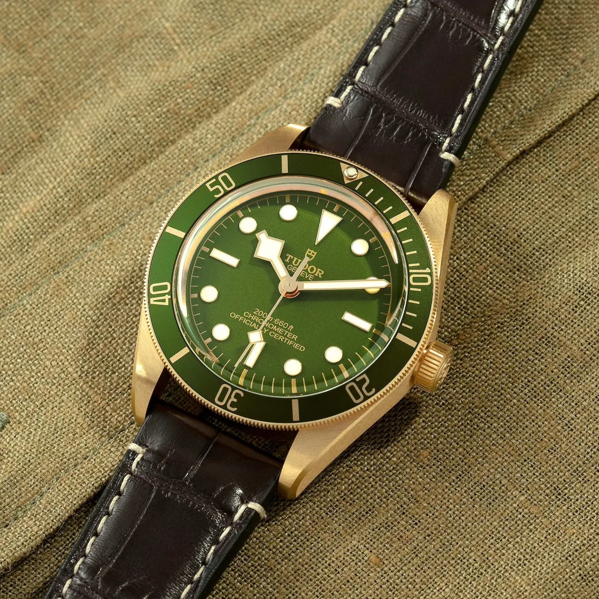 TUDOR Black Bay 58 18K Watch
