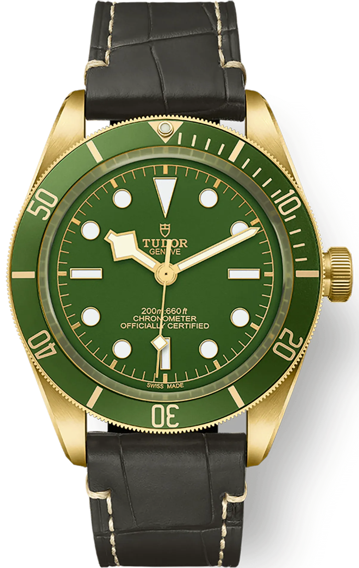 TUDOR Black Bay 58 18K Watch