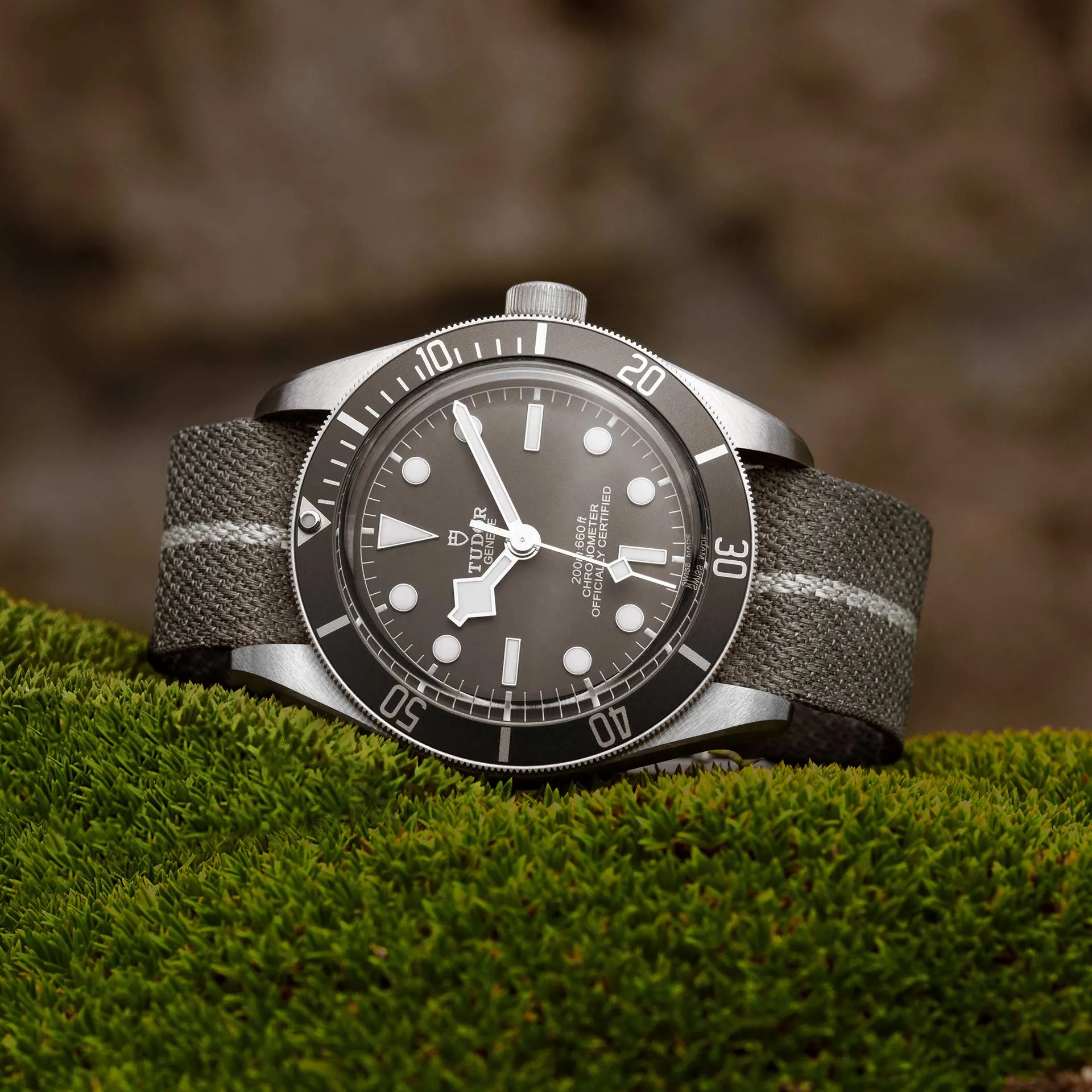 TUDOR Black Bay 58 925 Watch