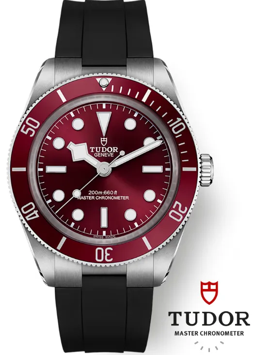 TUDOR Black Bay 58 Watch